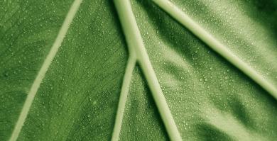La mappa della green society: quando i valori creano nuovi mercati