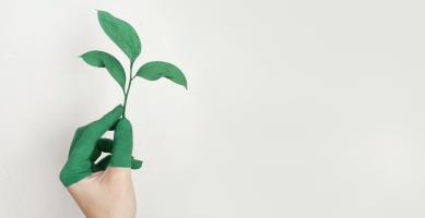 ESG, il caso DWS avvia una riflessione sulla sostenibilità